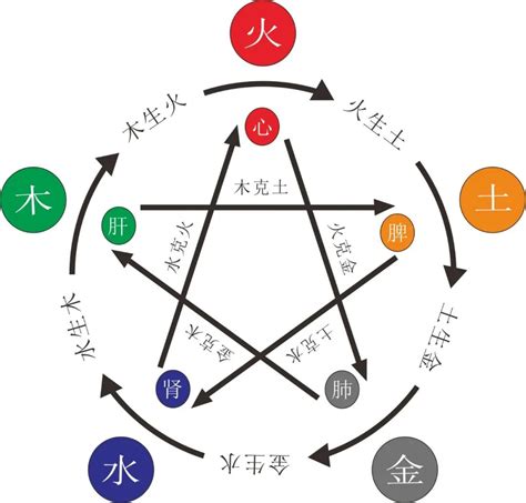 五行屬金缺木|八字属金缺木 八字属金缺木怎么办